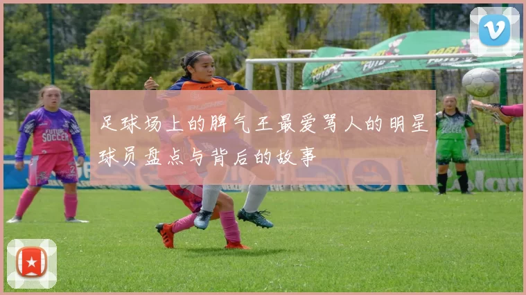 足球场上的脾气王最爱骂人的明星球员盘点与背后的故事