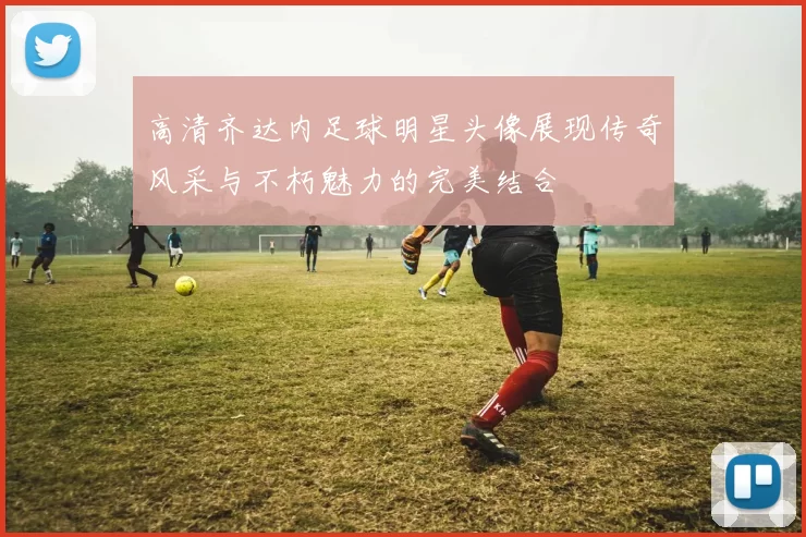 高清齐达内足球明星头像展现传奇风采与不朽魅力的完美结合