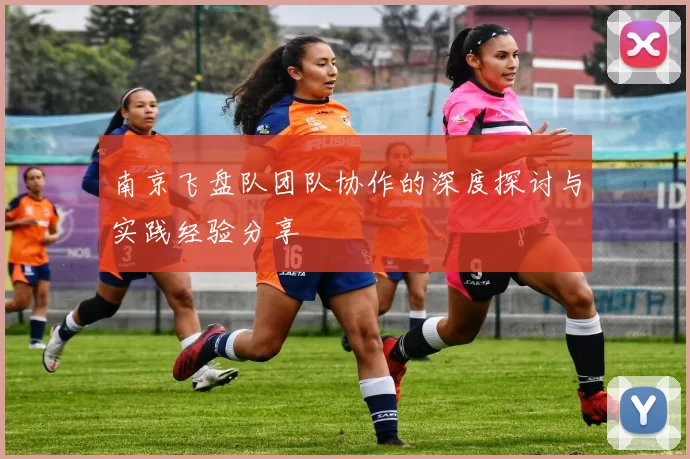 南京飞盘队团队协作的深度探讨与实践经验分享