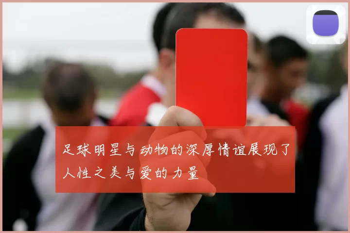 足球明星与动物的深厚情谊展现了人性之美与爱的力量