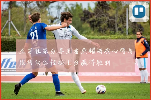 王芳独家分享王者荣耀游戏心得与技巧助你轻松上分赢得胜利
