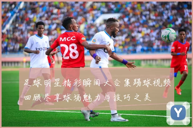 足球明星精彩瞬间大合集踢球视频回顾尽享球场魅力与技巧之美