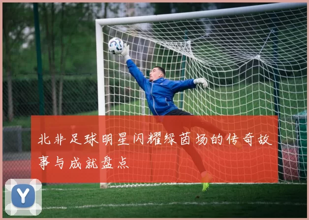 北非足球明星闪耀绿茵场的传奇故事与成就盘点