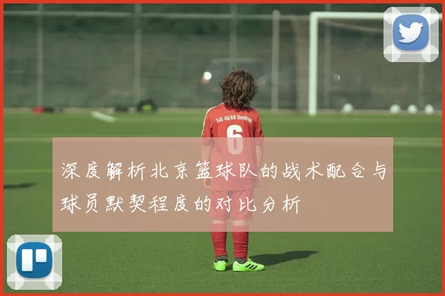 深度解析北京篮球队的战术配合与球员默契程度的对比分析