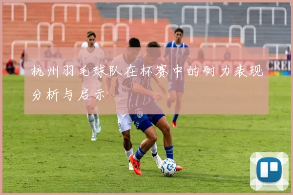 杭州羽毛球队在杯赛中的耐力表现分析与启示