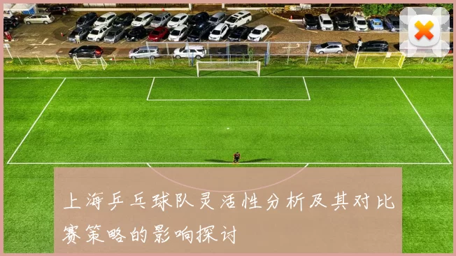 上海乒乓球队灵活性分析及其对比赛策略的影响探讨