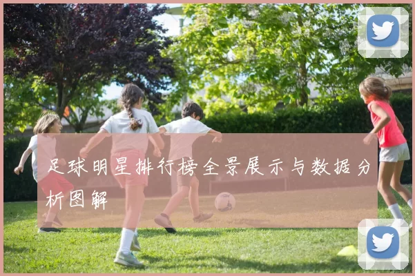 足球明星排行榜全景展示与数据分析图解