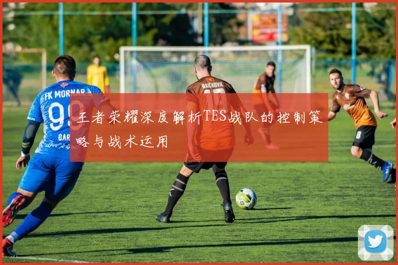 王者荣耀深度解析TES战队的控制策略与战术运用