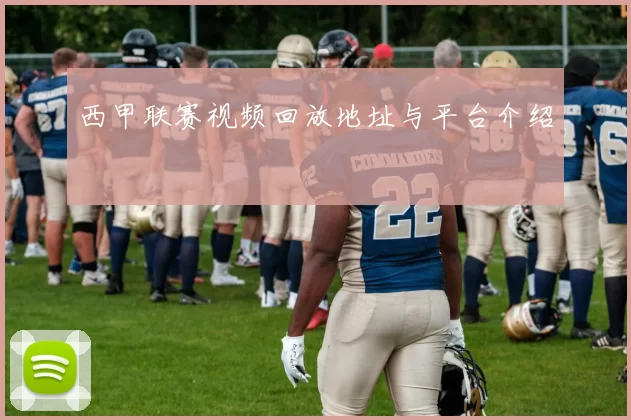 西甲联赛视频回放地址与平台介绍