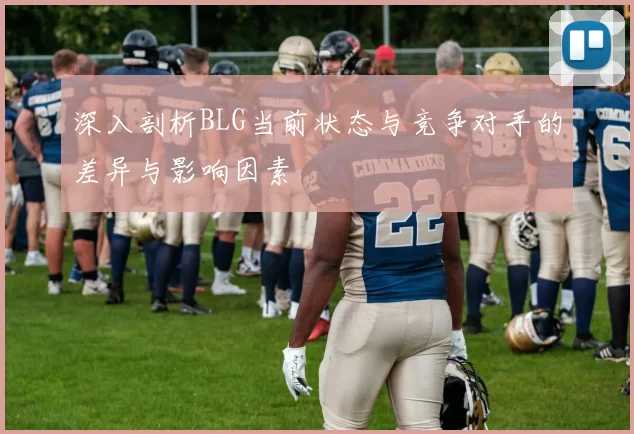 深入剖析BLG当前状态与竞争对手的差异与影响因素