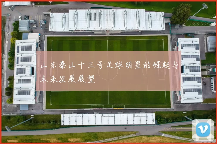山东泰山十三号足球明星的崛起与未来发展展望