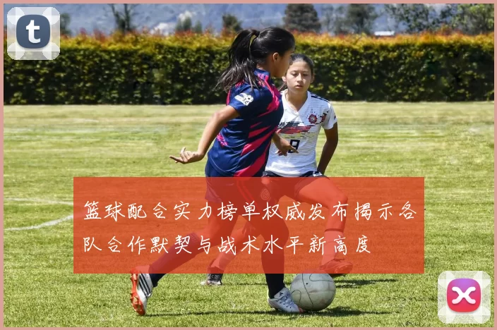 篮球配合实力榜单权威发布揭示各队合作默契与战术水平新高度