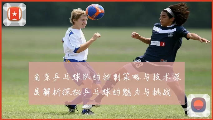 南京乒乓球队的控制策略与技术深度解析探秘乒乓球的魅力与挑战