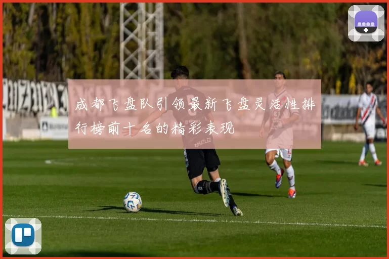 成都飞盘队引领最新飞盘灵活性排行榜前十名的精彩表现