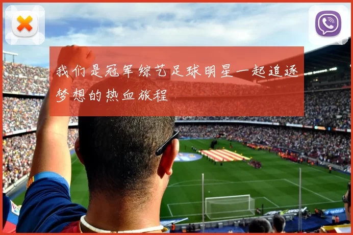 我们是冠军综艺足球明星一起追逐梦想的热血旅程