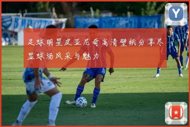 足球明星皮亚尼奇高清壁纸分享尽显球场风采与魅力